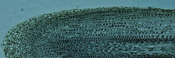 Microscopy core facility workflow automation inside ZEISS ZEN